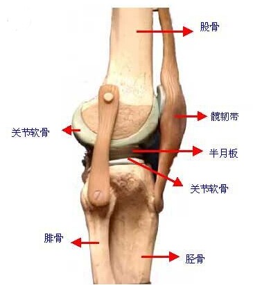 慢性关节炎的症状.jpg 慢性关节炎的症状.jpg