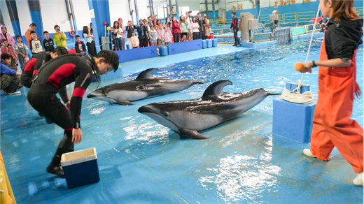 昆明骨科医院01.png 昆明骨科医院01.png